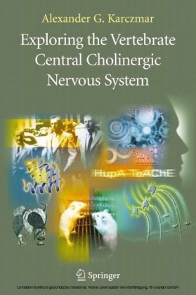 Exploring the Vertebrate Central Cholinergic Nervous System