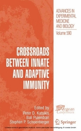 Crossroads between Innate and Adaptive Immunity