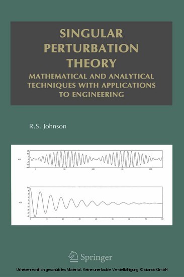 Singular Perturbation Theory main product photo