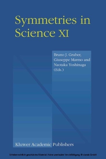 Symmetries in Science XI main product photo