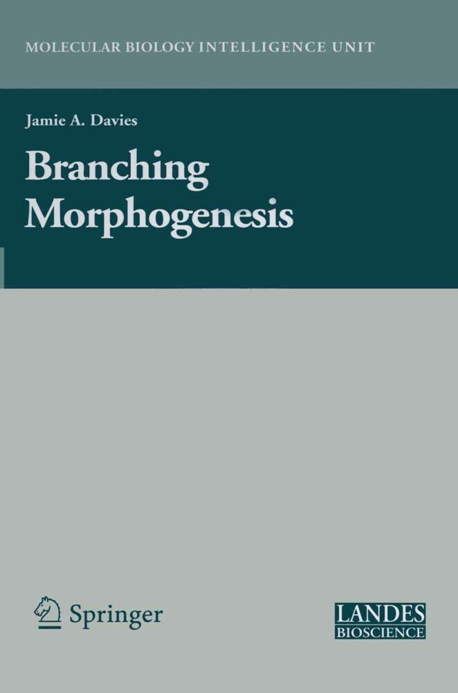 Branching Morphogenesis main product photo