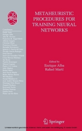Metaheuristic Procedures for Training Neural Networks