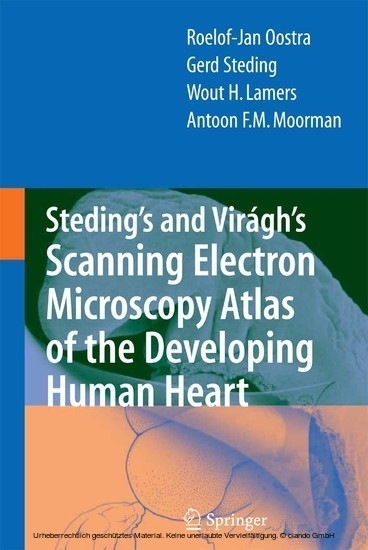 Steding's and Virágh's Scanning Electron Microscopy Atlas of the Developing Human Heart main product photo