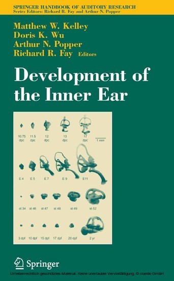 Development of the Inner Ear main product photo