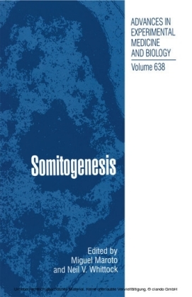 Somitogenesis