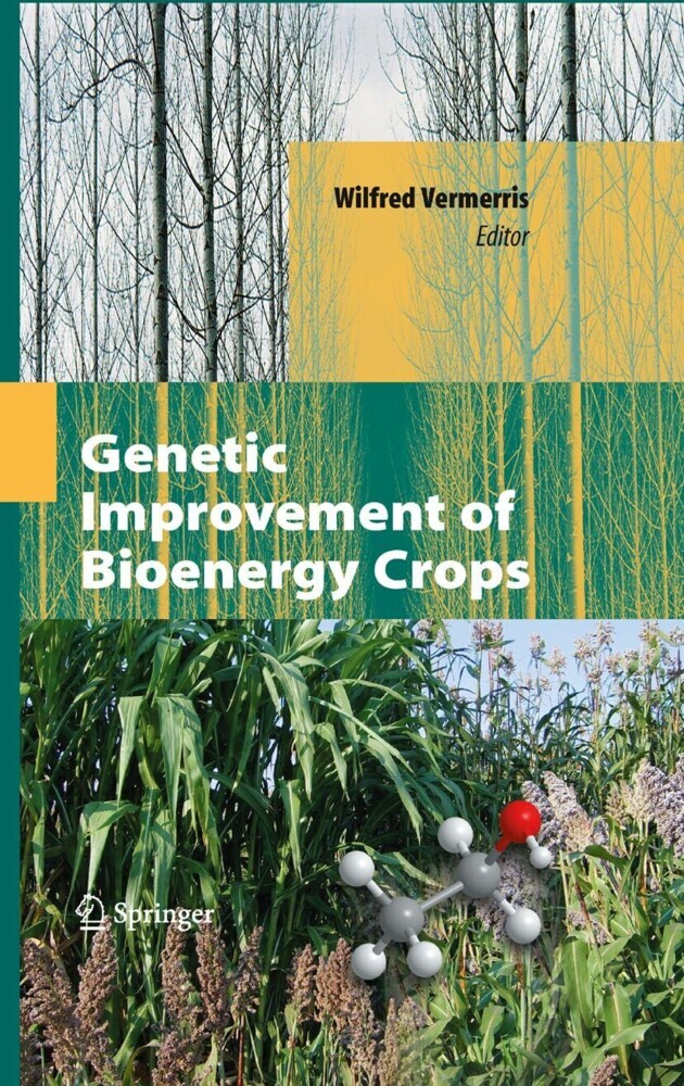 Genetic Improvement of Bioenergy Crops main product photo