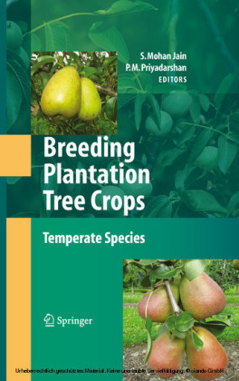 Breeding Plantation Tree Crops: Temperate Species