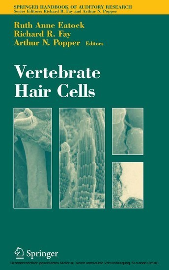 Vertebrate Hair Cells main product photo
