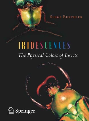 Iridescences