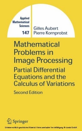 Mathematical Problems in Image Processing
