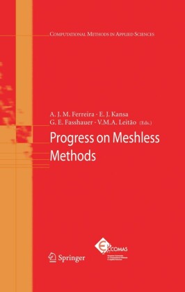 Progress on Meshless Methods