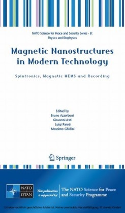 Magnetic Nanostructures in Modern Technology