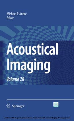 Acoustical Imaging. Vol.28