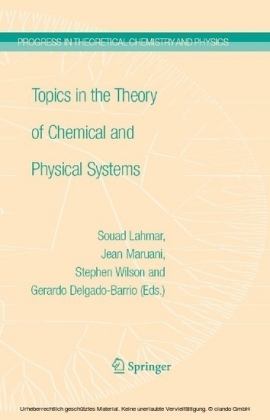 Topics in the Theory of Chemical and Physical Systems