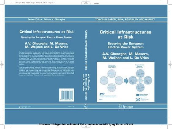 Critical Infrastructures at Risk main product photo
