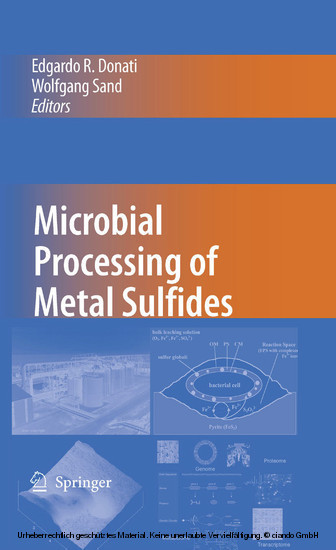 Microbial Processing of Metal Sulfides main product photo