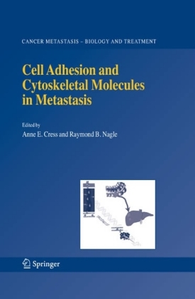 Cell Adhesion and Cytoskeletal Molecules in Metastasis