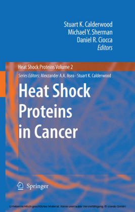 Heat Shock Proteins in Cancer