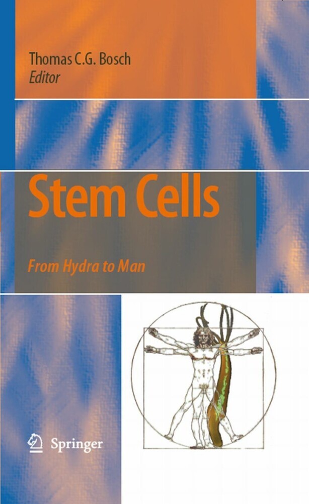Stem Cells main product photo