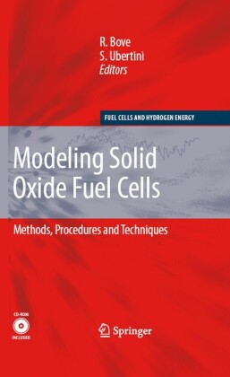Modeling Solid Oxide Fuel Cells