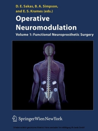 Operative Neuromodulation. Vol.1