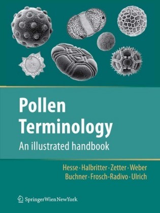 Pollen Terminology