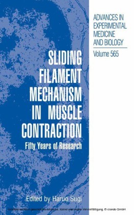 Sliding Filament Mechanism in Muscle Contraction