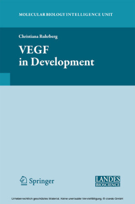 VEGF in Development