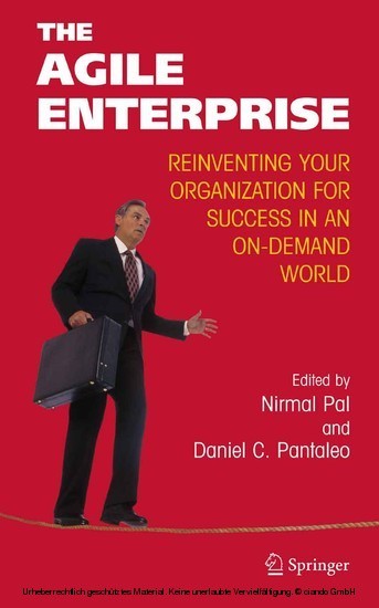 The Agile Enterprise main product photo