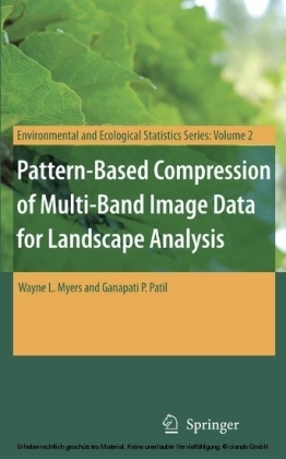 Pattern-Based Compression of Multi-Band Image Data for Landscape Analysis