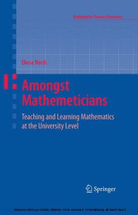 Amongst Mathematicians
