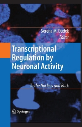 Transcriptional Regulation by Neuronal Activity