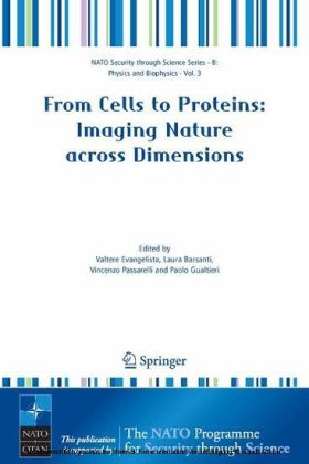 From Cells to Proteins: Imaging Nature across Dimensions
