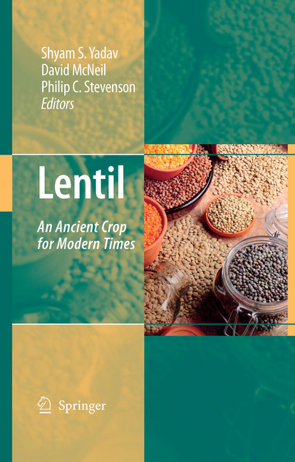 Lentil main product photo
