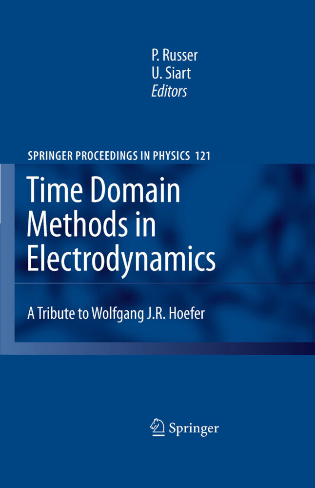 Time Domain Methods in Electrodynamics main product photo