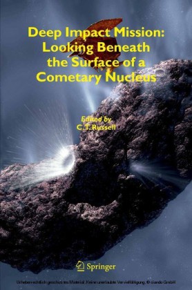 Deep Impact Mission: Looking Beneath the Surface of a Cometary Nucleus