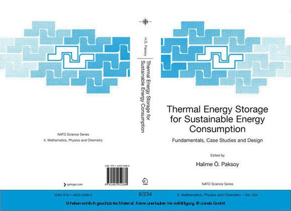 Thermal Energy Storage for Sustainable Energy Consumption main product photo