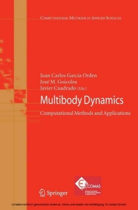 Multibody Dynamics