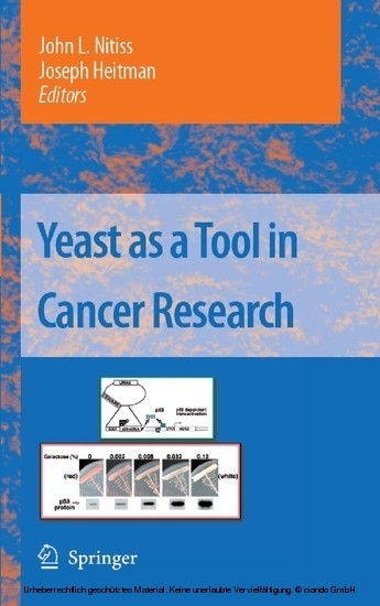 Yeast as a Tool in Cancer Research main product photo
