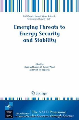 Emerging Threats to Energy Security and Stability