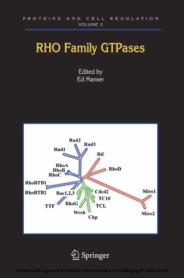 Rho Family GTPases main product photo
