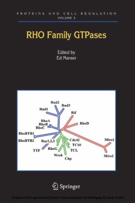 Rho Family GTPases
