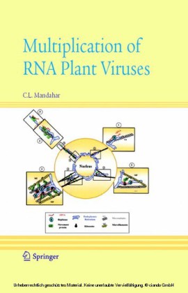 Multiplication of RNA Plant Viruses