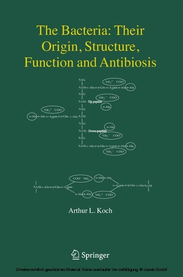 The Bacteria: Their Origin, Structure, Function and Antibiosis main product photo