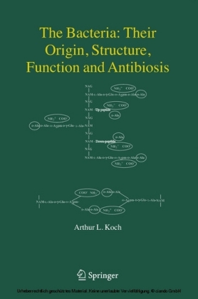 The Bacteria: Their Origin, Structure, Function and Antibiosis