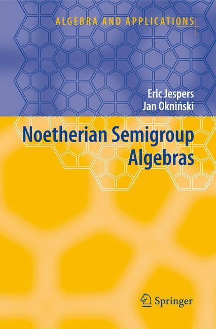 Noetherian Semigroup Algebras main product photo
