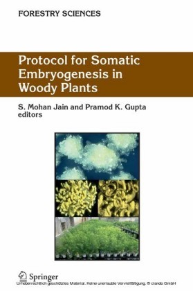 Protocol for Somatic Embryogenesis in Woody Plants