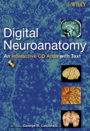 Digital Neuroanatomy