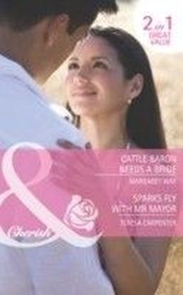 Cattle Baron Needs a Bride / Sparks Fly with Mr Mayor (Mills & Boon Cherish)