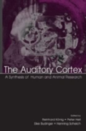Auditory Cortex